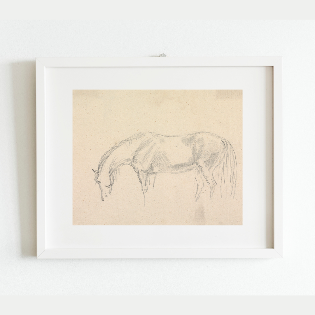 A Horse Grazing Sketch Antique Art Print: 8x10