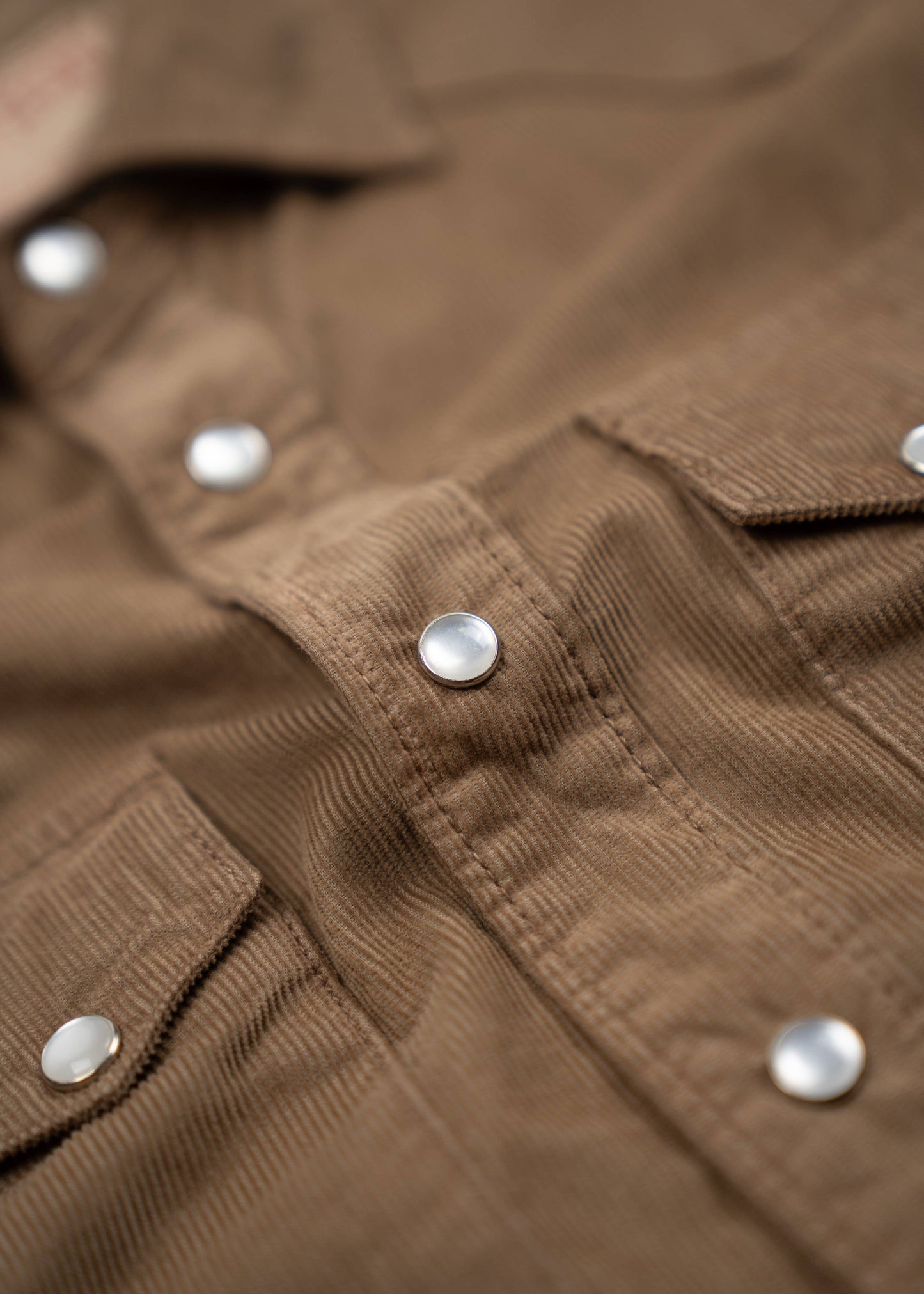 Cody Shirt: Bronze