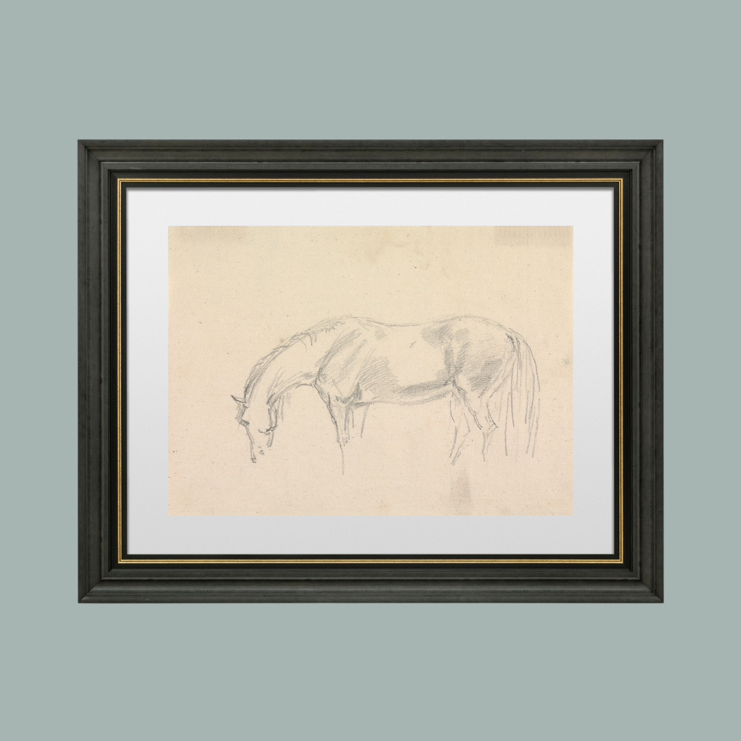 A Horse Grazing Sketch Antique Art Print: 8x10