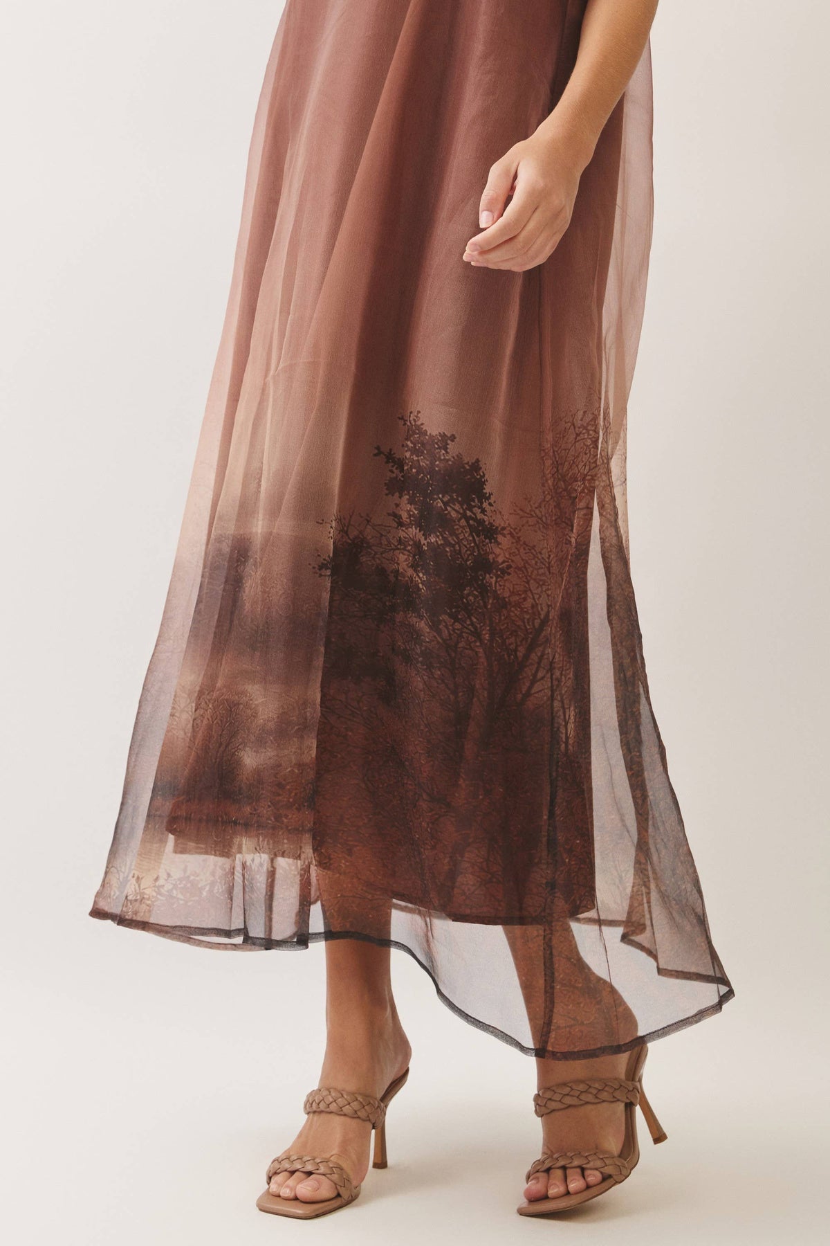 Aurelia Scenic Print Organza A-Line Maxi Dress: Brown