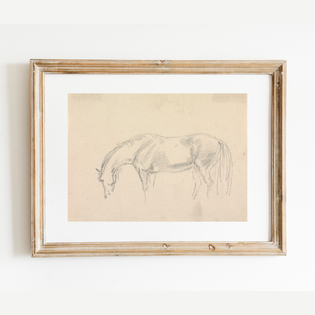 A Horse Grazing Sketch Antique Art Print: 8x10
