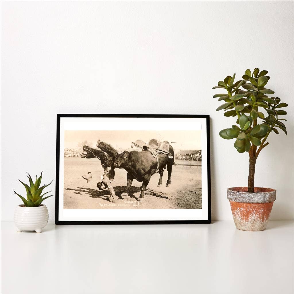 Art Print CB-71 Bull Throwing Rodeo Rider
