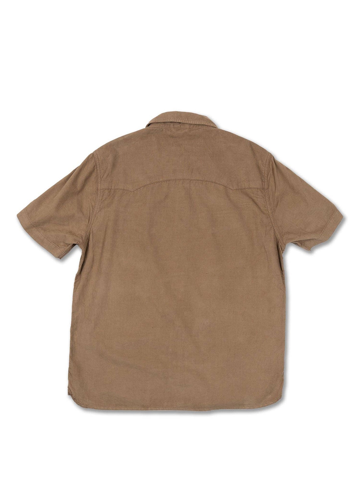 Cody Shirt: Bronze