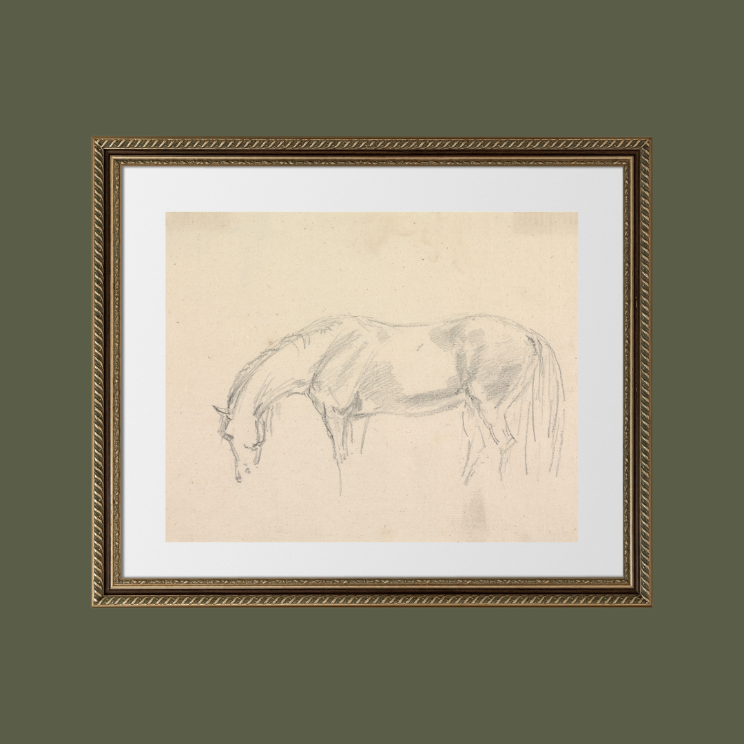 A Horse Grazing Sketch Antique Art Print: 8x10