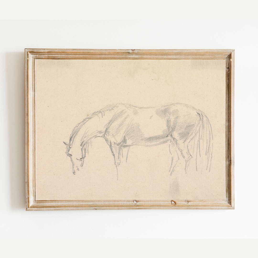 A Horse Grazing Sketch Antique Art Print: 8x10