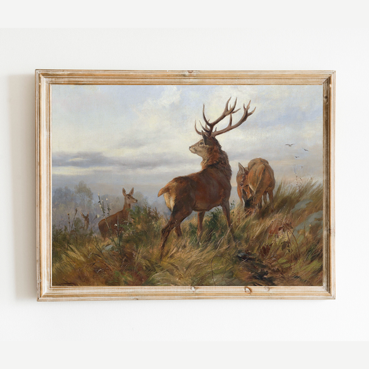 Deer at Dawn Antique Art Print