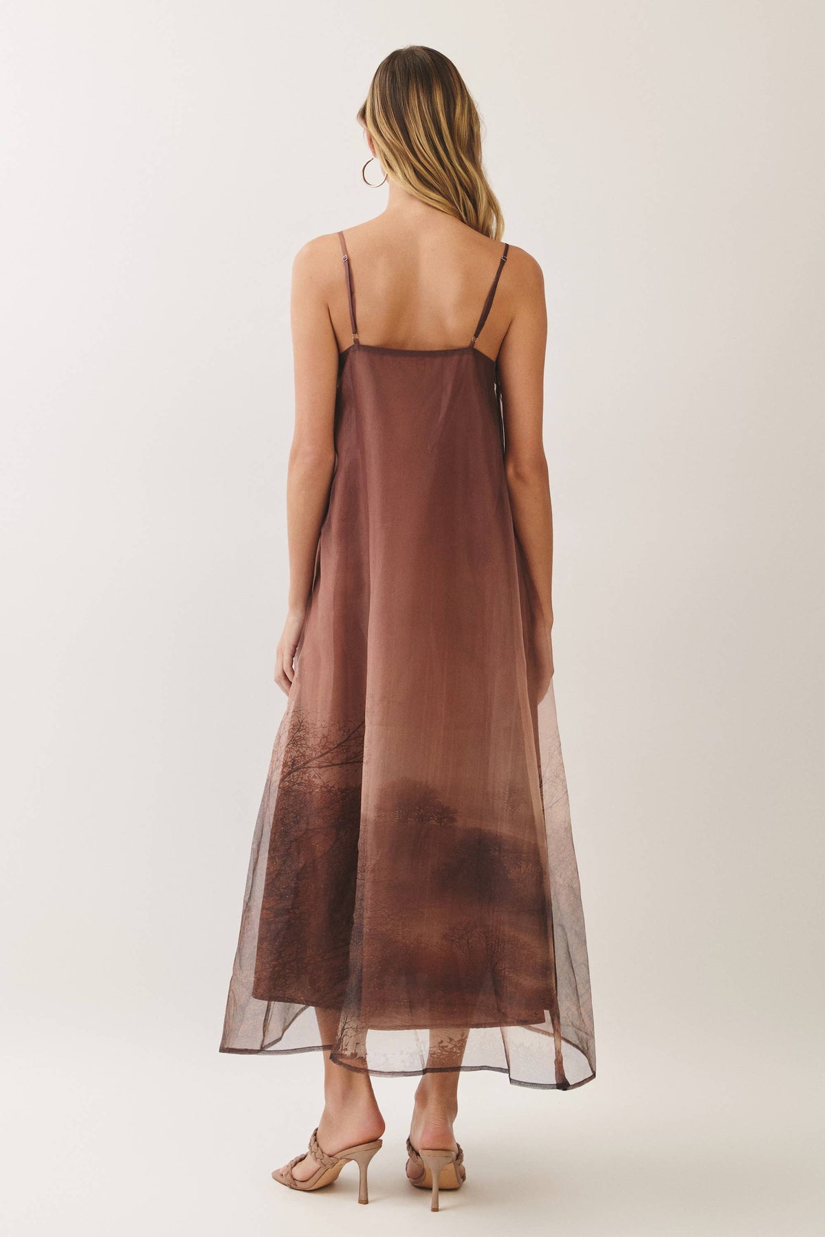 Aurelia Scenic Print Organza A-Line Maxi Dress: Brown