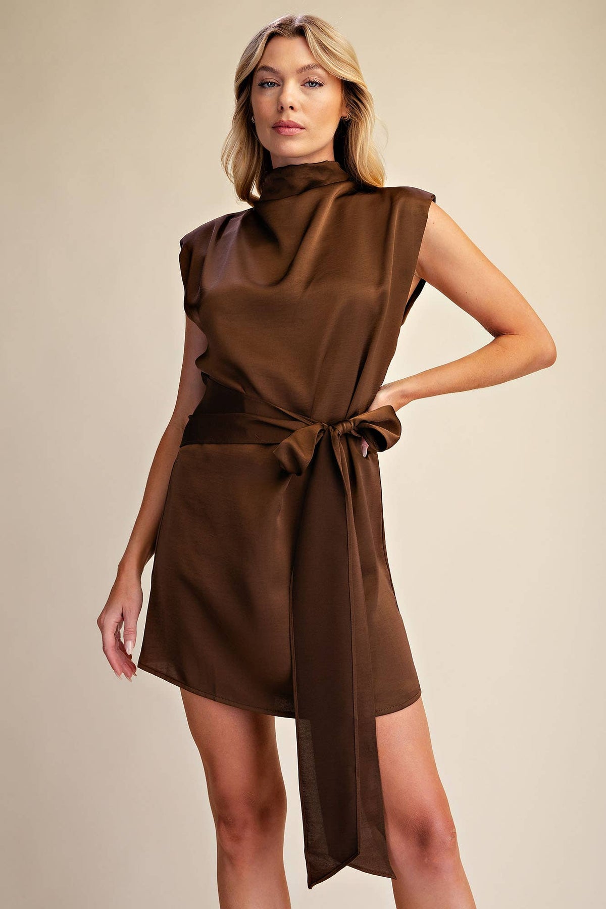 Mock Neck Waist Tie Mini Dress: Brown