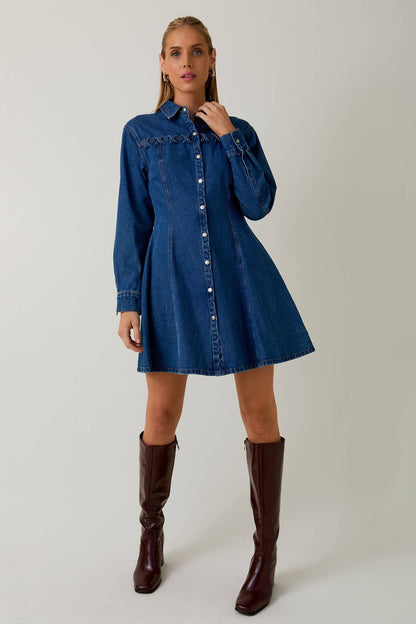 Dakota Long Sleeve Fit & Flare Denim Mini Dress