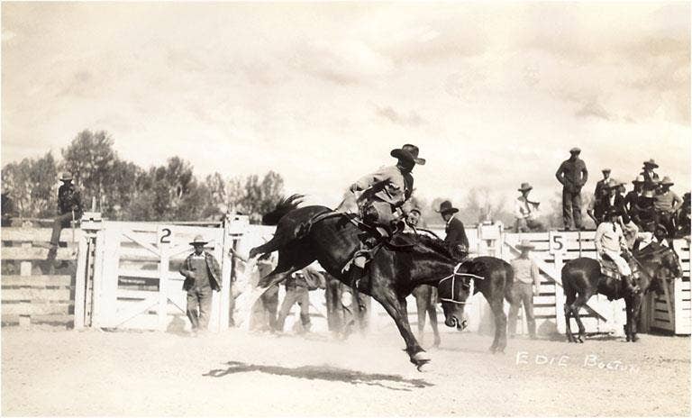 Art Print CB-140 Rodeo Cowboy on Bucking Horse