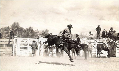 Art Print CB-140 Rodeo Cowboy on Bucking Horse