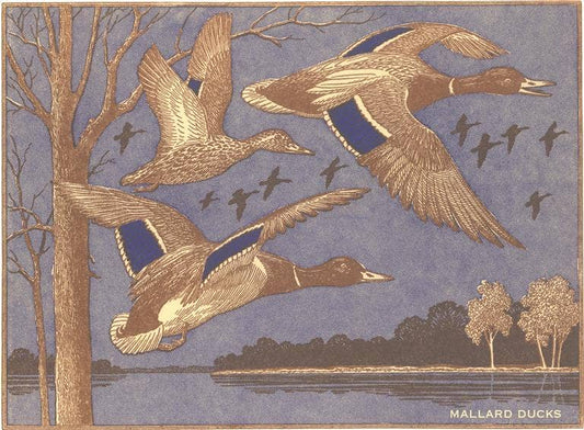 Magnet WD-43 Mallard Ducks