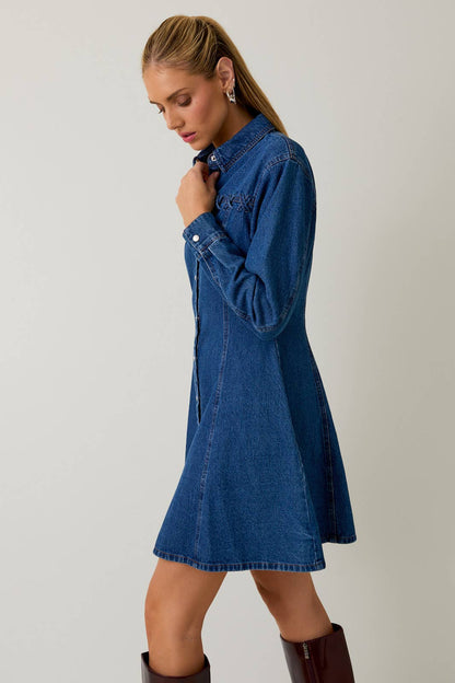 Dakota Long Sleeve Fit & Flare Denim Mini Dress