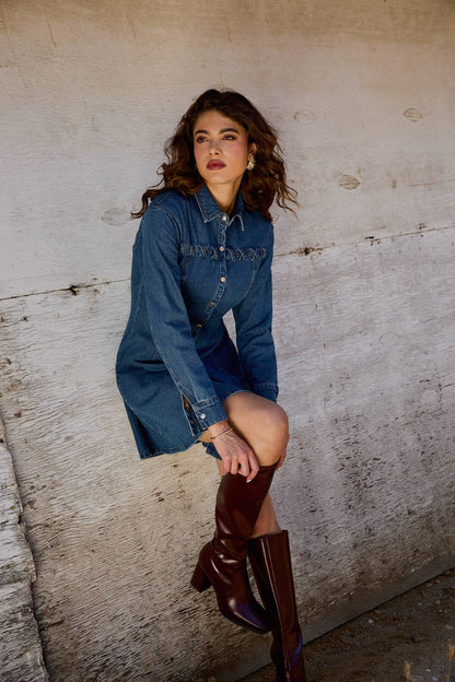 Dakota Long Sleeve Fit & Flare Denim Mini Dress