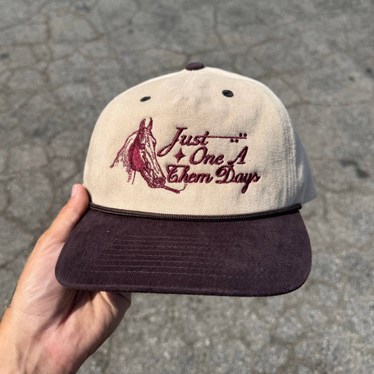 ‘Just One a Them Days' Hat