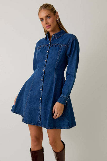 Dakota Long Sleeve Fit & Flare Denim Mini Dress