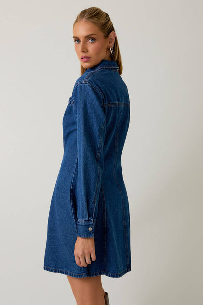 Dakota Long Sleeve Fit & Flare Denim Mini Dress
