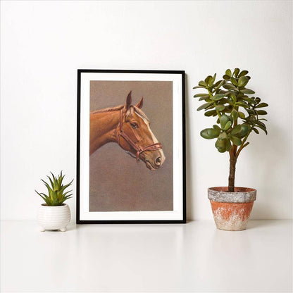 Art Print EQ-22 Brown Horse