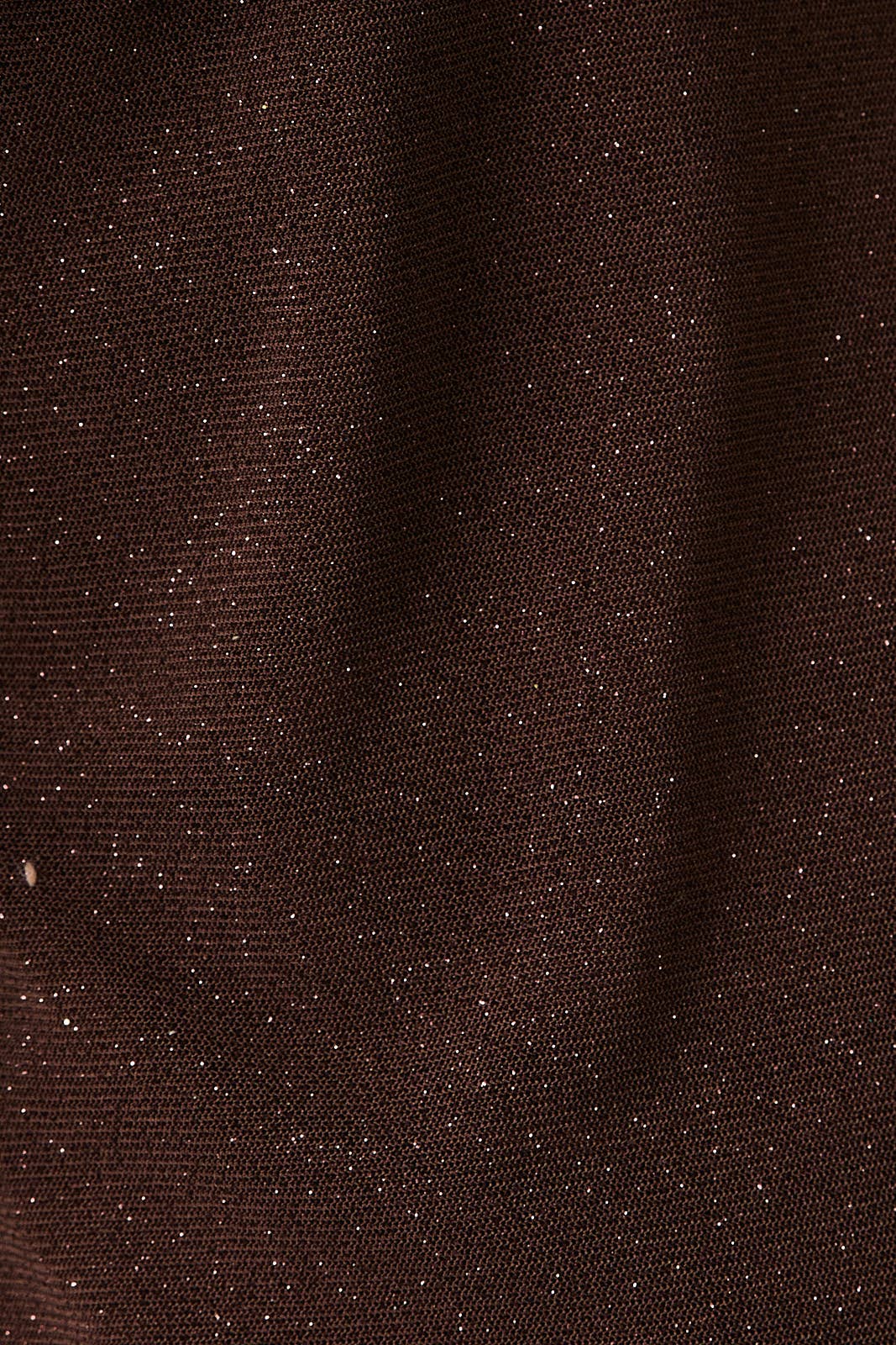 Grove Off Shoulder Long Sleeve Metallic Top: Brown