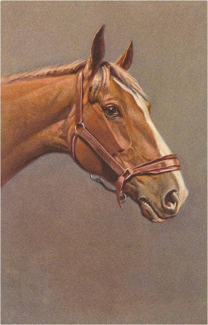 Art Print EQ-22 Brown Horse