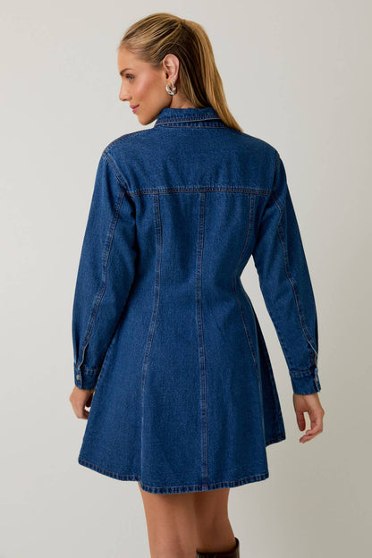 Dakota Long Sleeve Fit & Flare Denim Mini Dress