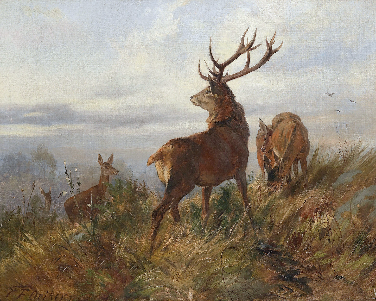 Deer at Dawn Antique Art Print