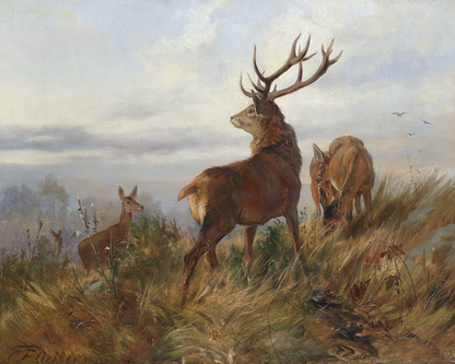 Deer at Dawn Antique Art Print