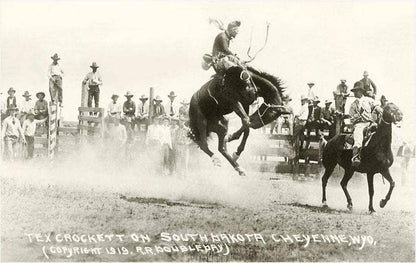 Art Print CB-138 Rodeo Bronco Buster, Cheyenne, Wyoming