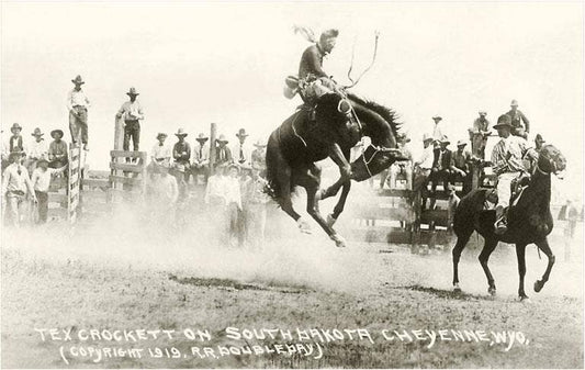 Art Print CB-138 Rodeo Bronco Buster, Cheyenne, Wyoming