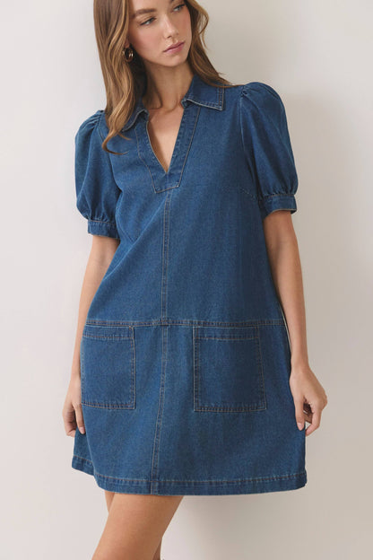 Darcy Puff Sleeve Denim Mini Dress: Denim