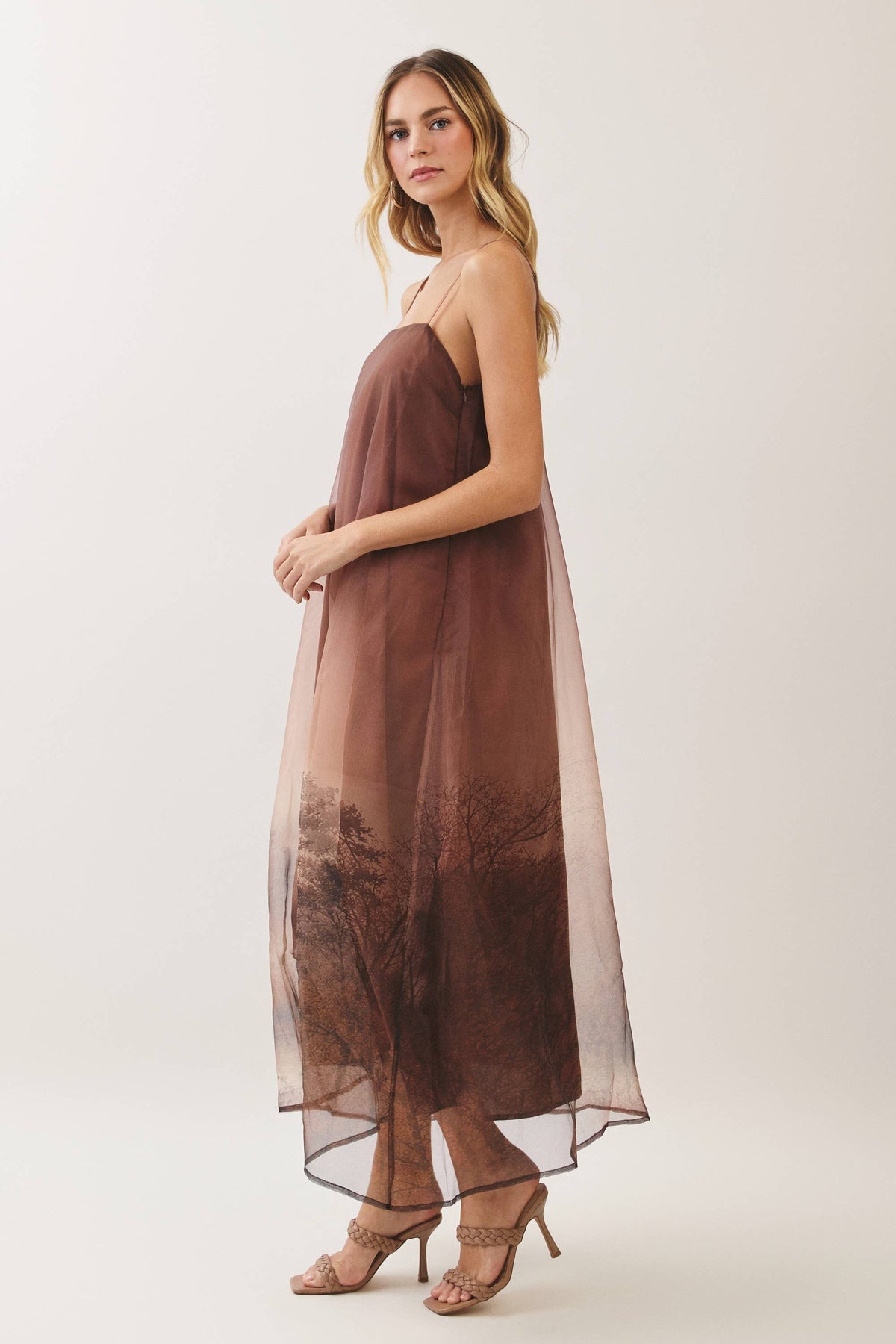 Aurelia Scenic Print Organza A-Line Maxi Dress: Brown