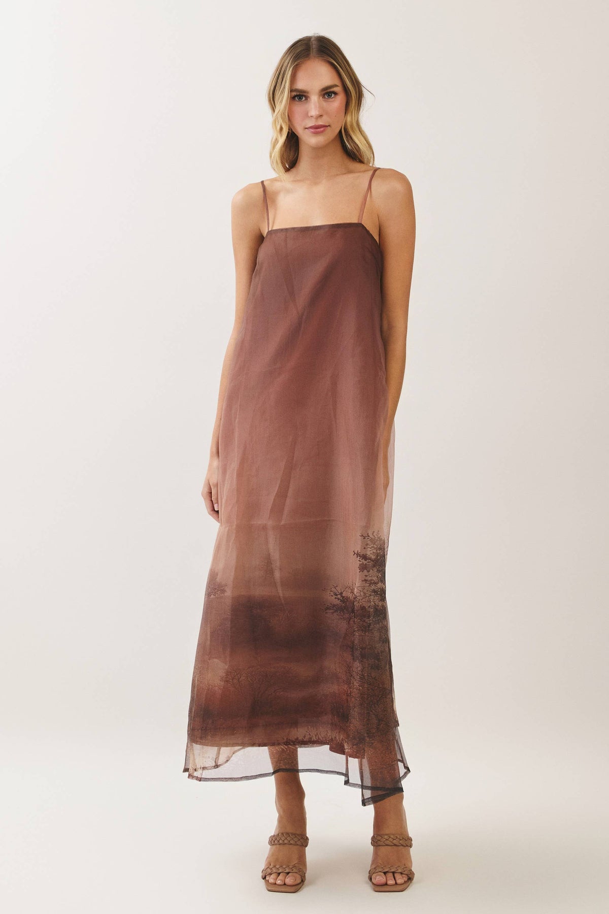 Aurelia Scenic Print Organza A-Line Maxi Dress: Brown