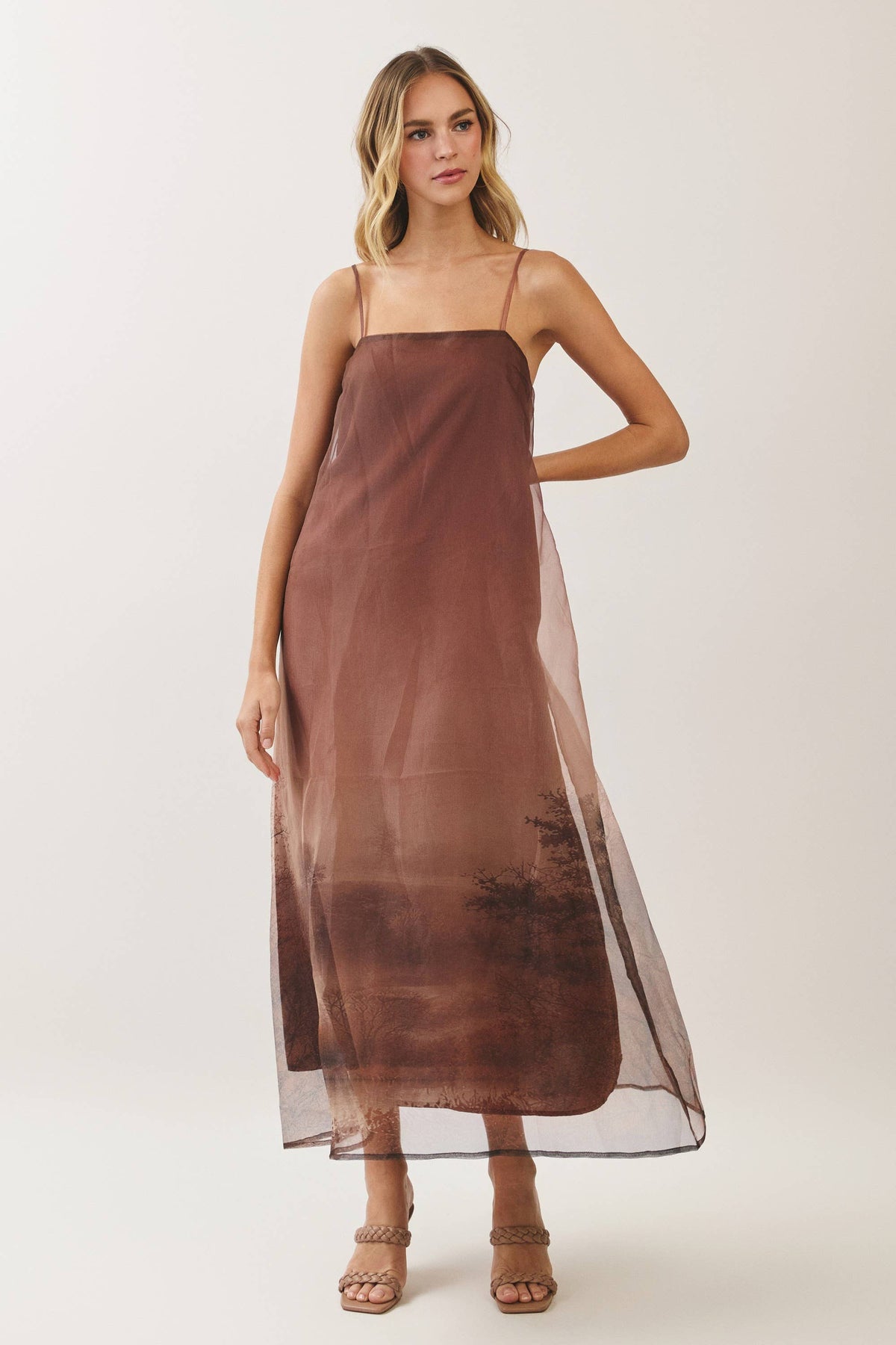 Aurelia Scenic Print Organza A-Line Maxi Dress: Brown