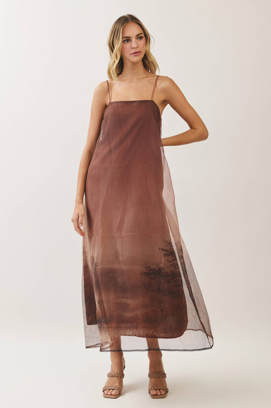 Aurelia Scenic Print Organza A-Line Maxi Dress: Brown