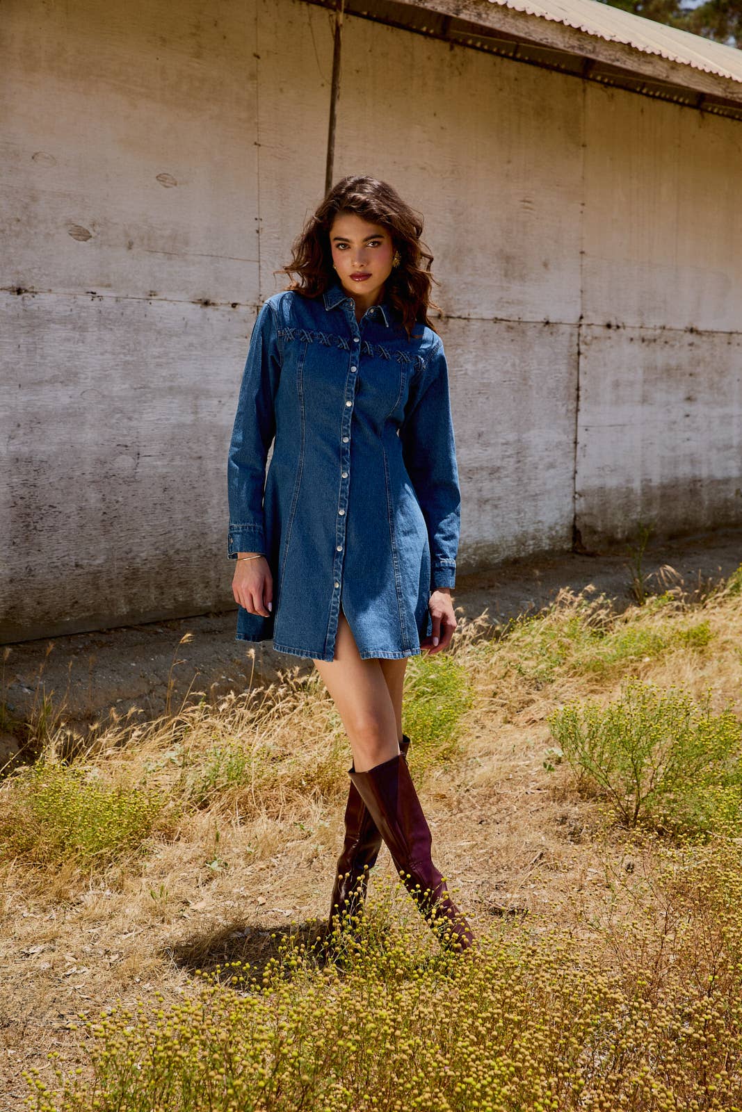 Dakota Long Sleeve Fit & Flare Denim Mini Dress